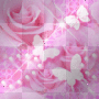 background background