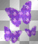 purple butterflies