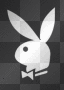 Playboy bunny