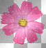 Cute Glitter Flower