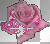 Sparkling Tiny Pink Rose
