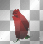 Animated Blooming Red Rose