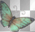Teal Animated Butterfly Teal Animated Butterfly