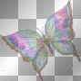 Butterfly in glitter