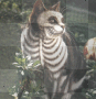 cat cat