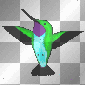 bird