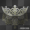 princess crown