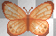 Animated Cute Orange Butterfly