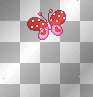butterfly heart 