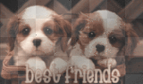 Besties