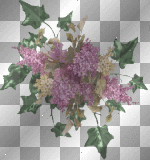 A Bunch Of Lilacs  **db**