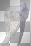 angel wings