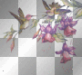 Animated Birds & Flowers (right)  **db**