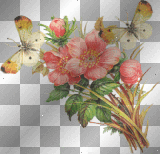 Flowers & Butterflies (right) **db**