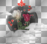 Globe Roses 