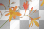 FALL COLOR FLOWERS