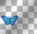 Animated Aqua Blue Butterfly