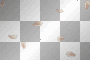 plumes plumes