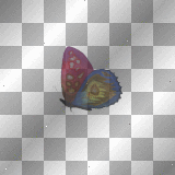 pink blue animated butterfly