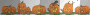 Halloween Pumpkins