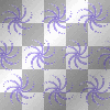 étoile mauve