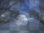 Autumn/Fall Night Sunset Background