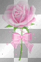 pink rose:)