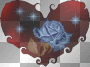 BLUE ROSE HEART