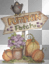 Pumpkin Patch Pumpkin Patch