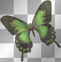 Green Glittery Autumn Butterfly