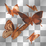 Animated 3D Flying Butterflies