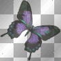 Dark Glittery Autumn Butterfly