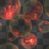 external image 270225593_314405.gif?4