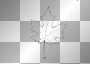 fall autumn leaf 
