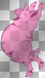 Pig dancing