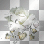Rose 4