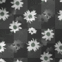 flowers flowers