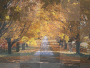 Autumn Day Background **d/n/b/** Autumn Day Background **d/n/b/**