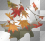 Special Autumn Leaf (6) **d/n/b/**