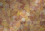 Autumn Background