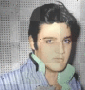 elvis