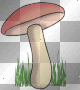 Champii-grôgnôn