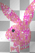pink bunny