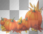 Autumn fall Halloween