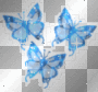 Butterfly Butterfly