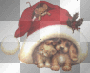 In Santa's Hat