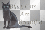 Black cats