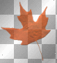 Autumn/Fall Leaf Autumn/Fall Leaf