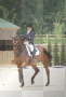 cheval sf