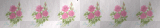 Littlerose border